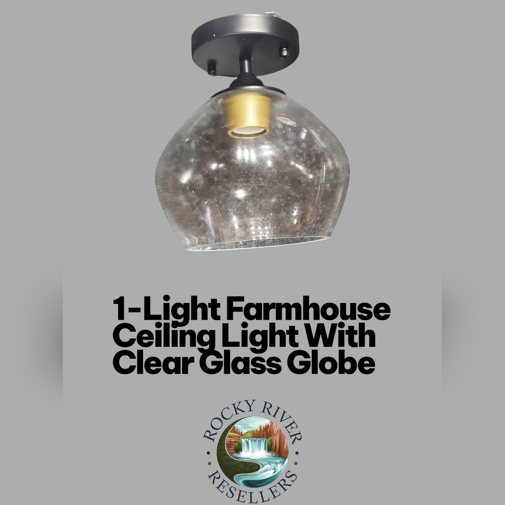 1-Light | Ceiling Light | Flush Mount | Clear Glass Globe | Color: Black